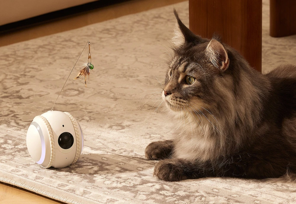 wireless pet camera system